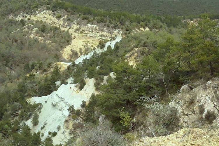 Grès verts non altérés de Piémayon à Viens