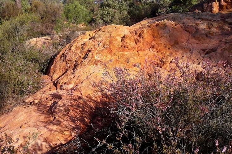 Bruyères et affleurements de grès
