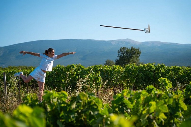 L'AOC  Ventoux au fil du vent...