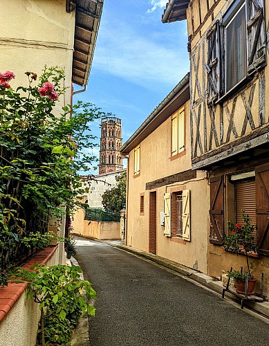 rieuxvolvestre_patrimoine_cathedrale_ruedelort_pansdebois@marionoti