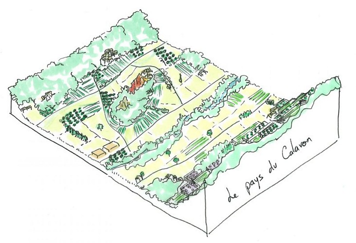 Unité paysagère du pays du Calavon