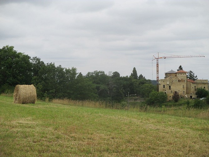 le Château Vieux