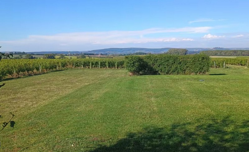 Gîte du Coin Chardon - Chalet au milieu des vignes