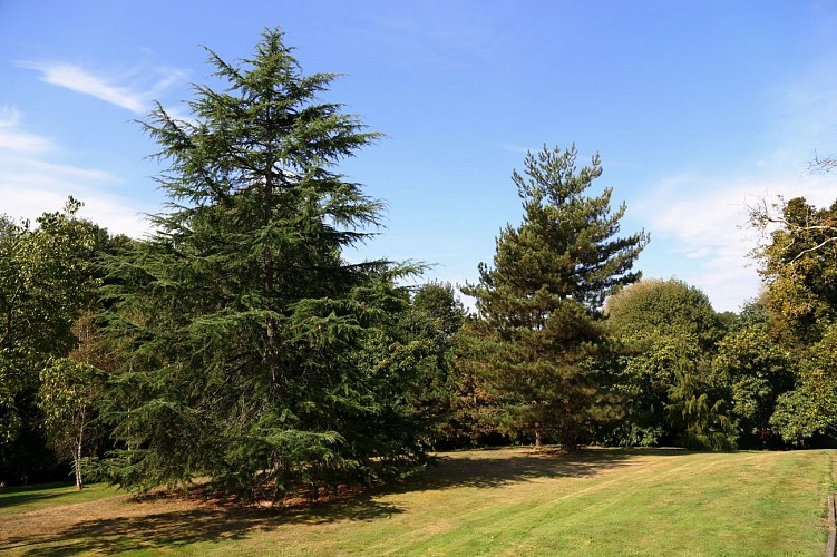Chambres d'hôtes Le Logis du Parc - Chambre L'Embellie