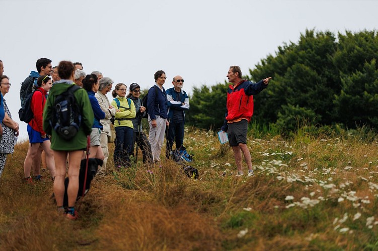 Sortie volcanique et tectonique au puy de Chaumont et petit Sarcoui