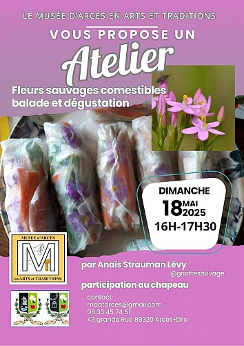 Affiche Poster Évènement Concours de Pétanque Simple Moderne Photo Bleu Rose - 3