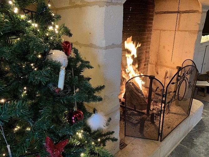 Pommeraie-Domaine-le-coq-enchante-62