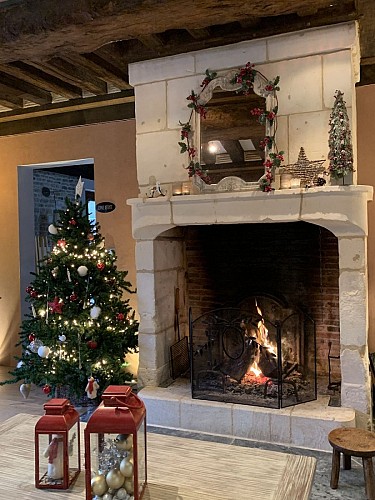 Pommeraie-Domaine-le-coq-enchante-60