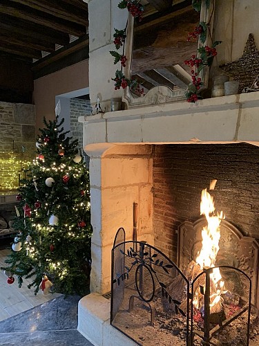 Pommeraie-Domaine-le-coq-enchante-58