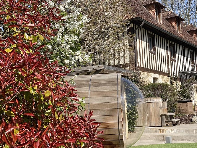 Pommeraie-Domaine-le-coq-enchante-52