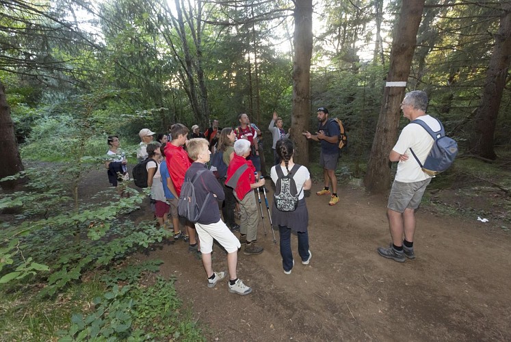 Le puy de la Nugère, un des trésors de la Chaîne des Puys - faille de Limagne