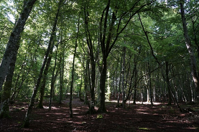 Le puy de la Nugère, un des trésors de la Chaîne des Puys - faille de Limagne