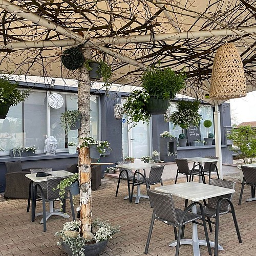 352327482_733116432147626_5646242797291691618_n