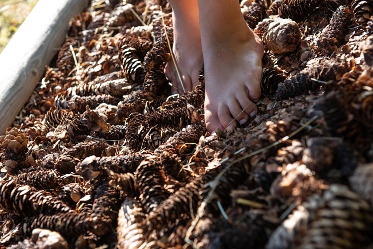 wiidoo gliss pieds nus