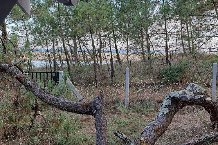 Meublé de l'agence de la Plage