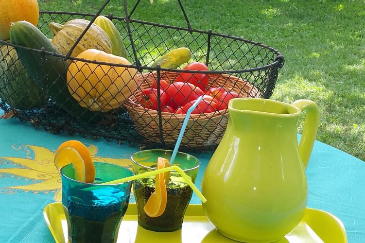 LA VILLA DES VIOLETTES