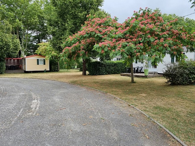 camping moulin du roy 8 REVEL