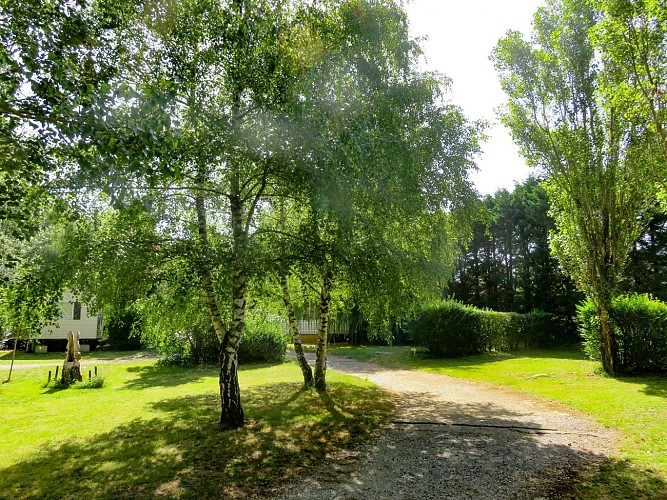 emplacement a cote du 114 camping en salvan REVEL