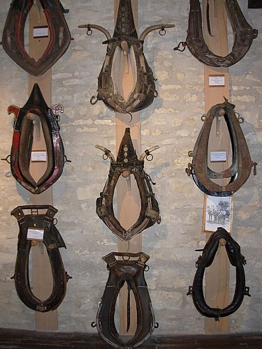 Musée Lorrain du Cheval