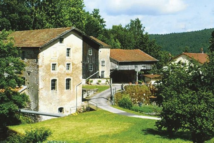 Xamontarupt mill