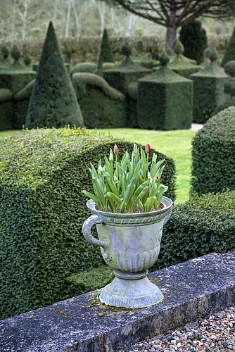 Ateliers jardinage dans les jardins de William Christie