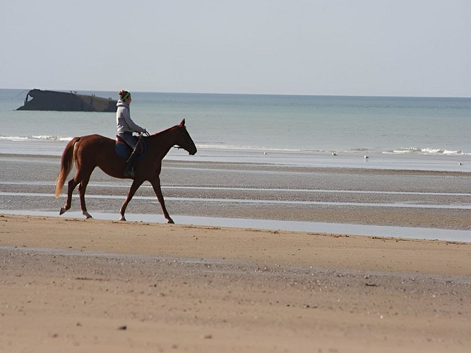 promenade-cheval-plage-asne