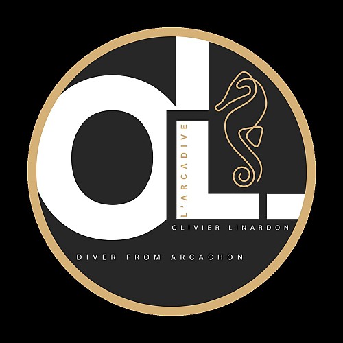 By - Logo OK ArcaDive