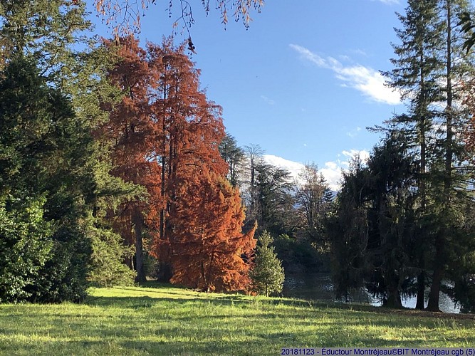 Arboretum - Chateau de Valmirande - Montréjeau - Pyrénées - Comminges