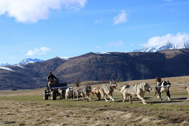 Baptême en Grand attelage (Cani-Kart)