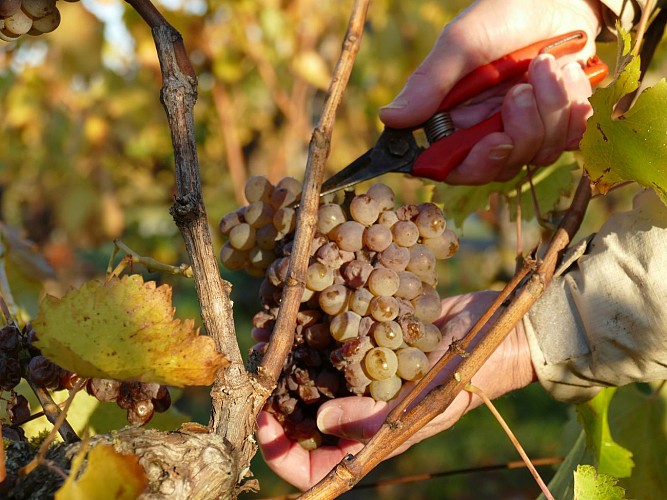 DOMAINE DE LA GAUTERIE