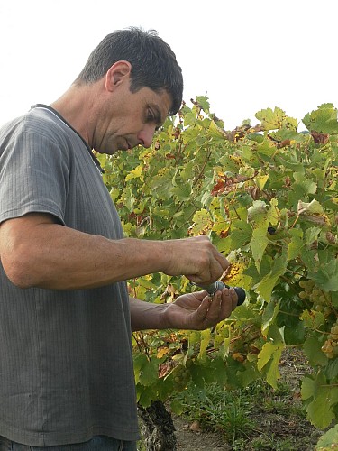 DOMAINE DE LA GAUTERIE