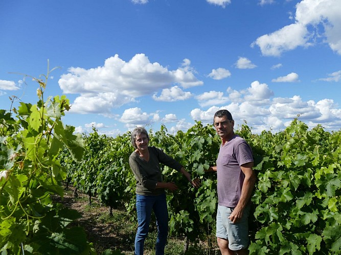 DOMAINE DE LA GAUTERIE