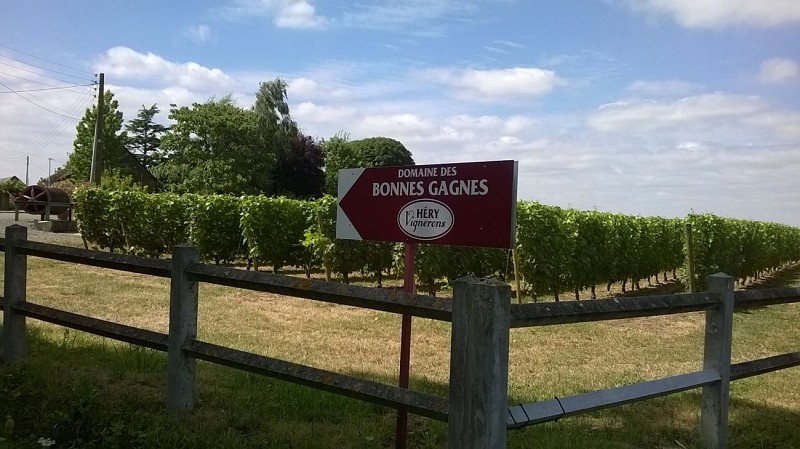 DOMAINE DES BONNES GAGNES