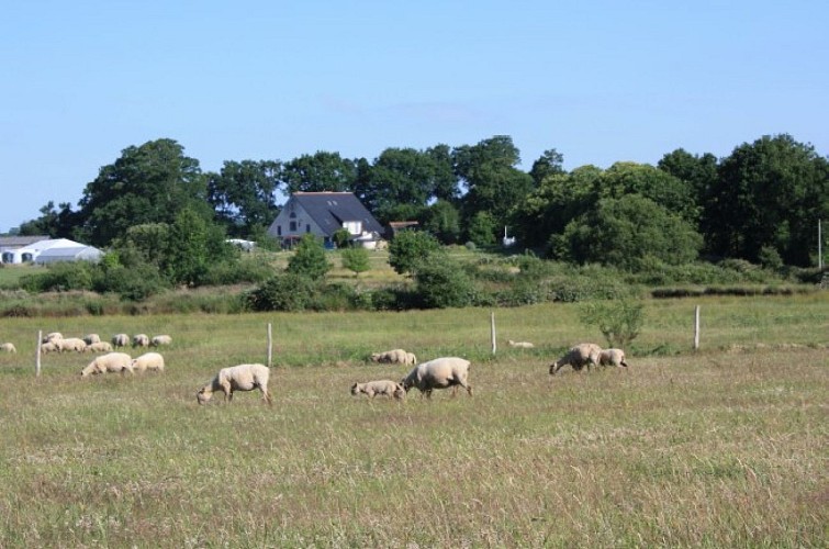 La Ferme de Bel Air