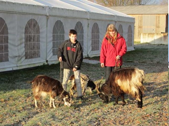 La Ferme de Bel Air