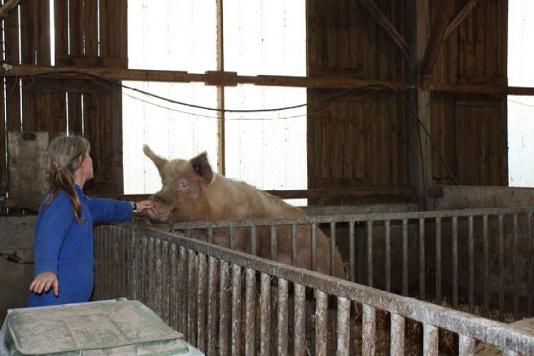 La Ferme de Bel Air