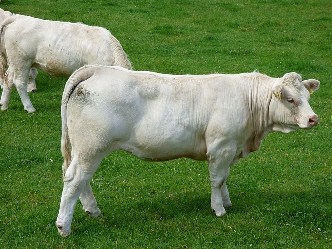 La Ferme du Boisvreuil