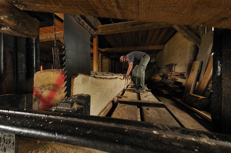 Sciage d'une planche.