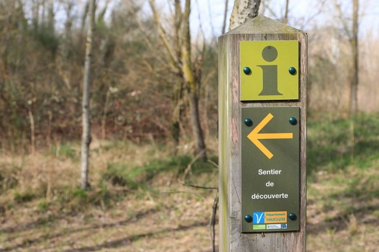 Borne directionnelle ENS