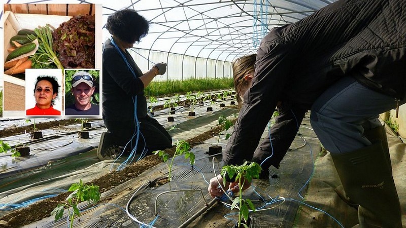 Les Jardins de St Gildas