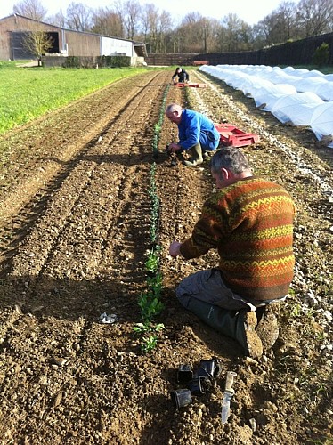 Les Jardins de St Gildas