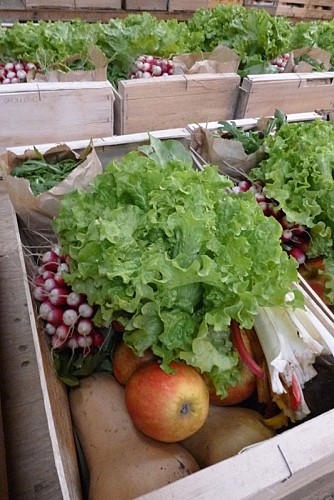 Les Jardins de St Gildas