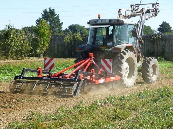 Les Jardins de St Gildas