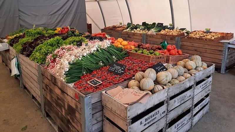 Lemoine Maraîcher - Le Potager de Lili