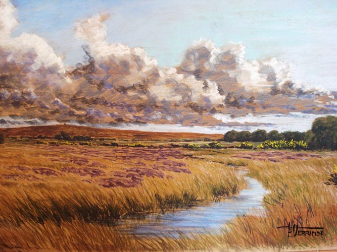 Artiste peintre François Verrimst