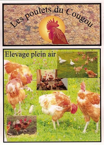 Les Poulets du Cougou