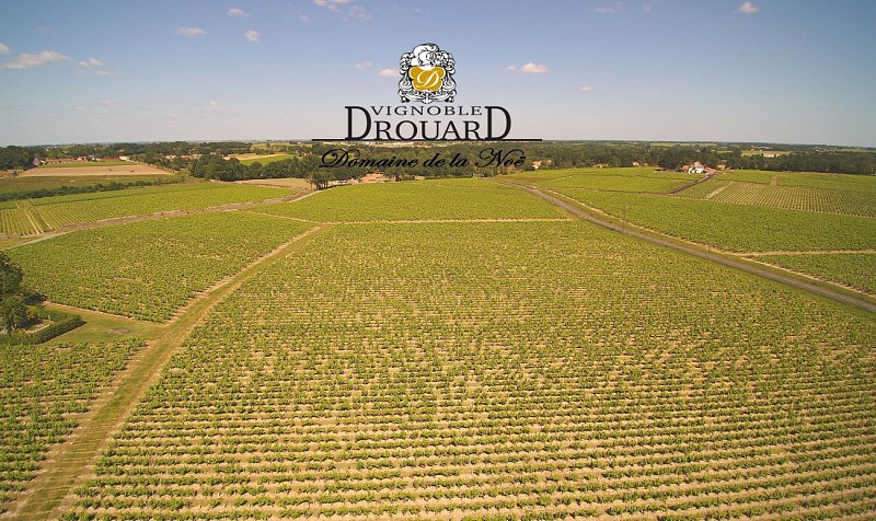 VIGNOBLE DROUARD