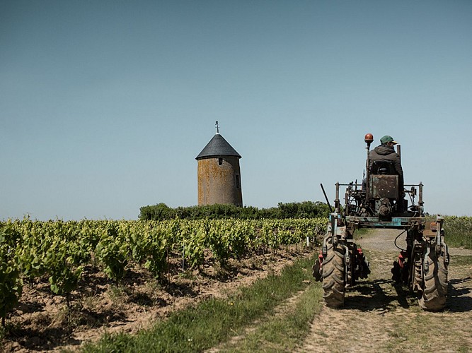 Domaine Ménard-Gaborit