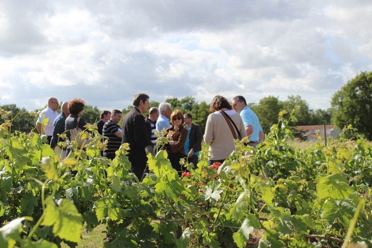 Domaine Florence et Joël Forgeau