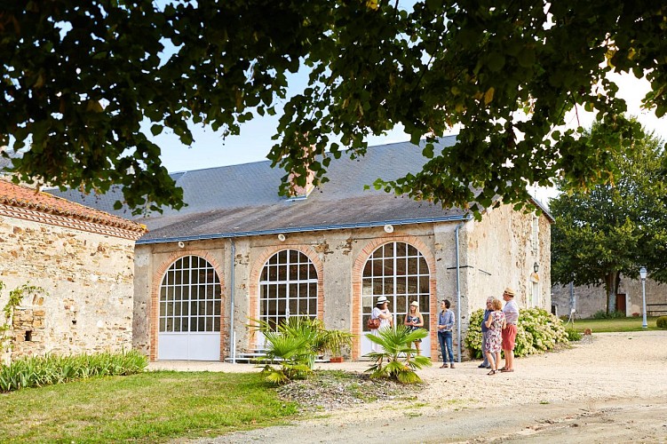 Visite dégustation et Buffet champêtre au Château du Coing de Saint-Fiacre